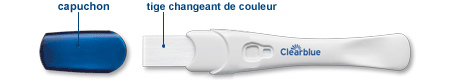 Avant le test